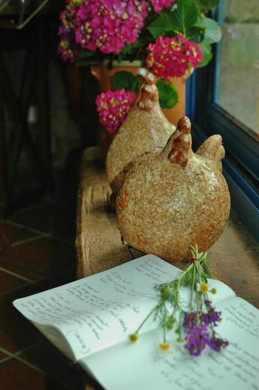 Bed & Breakfast D'hotes Belard Plonevez-Porzay